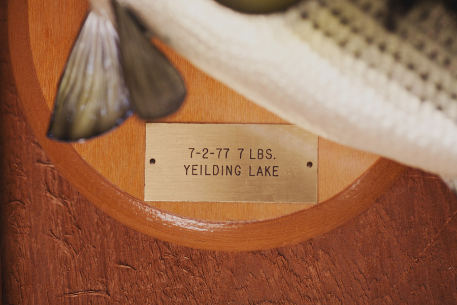 yielding lake wedding