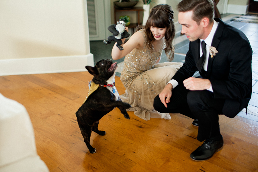 dog-at-wedding dog at wedding