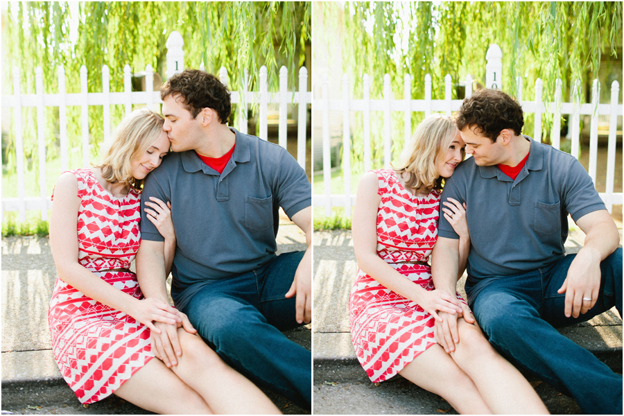 weeping-willow-and-picket-fence weeping willow and picket fence