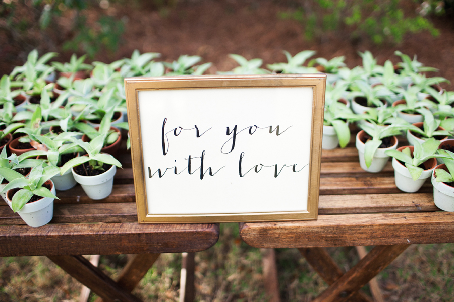 succulent-wedding-favors succulent wedding favors