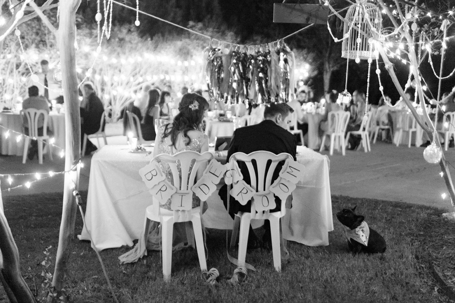 bride-groom-and-dog bride groom and dog