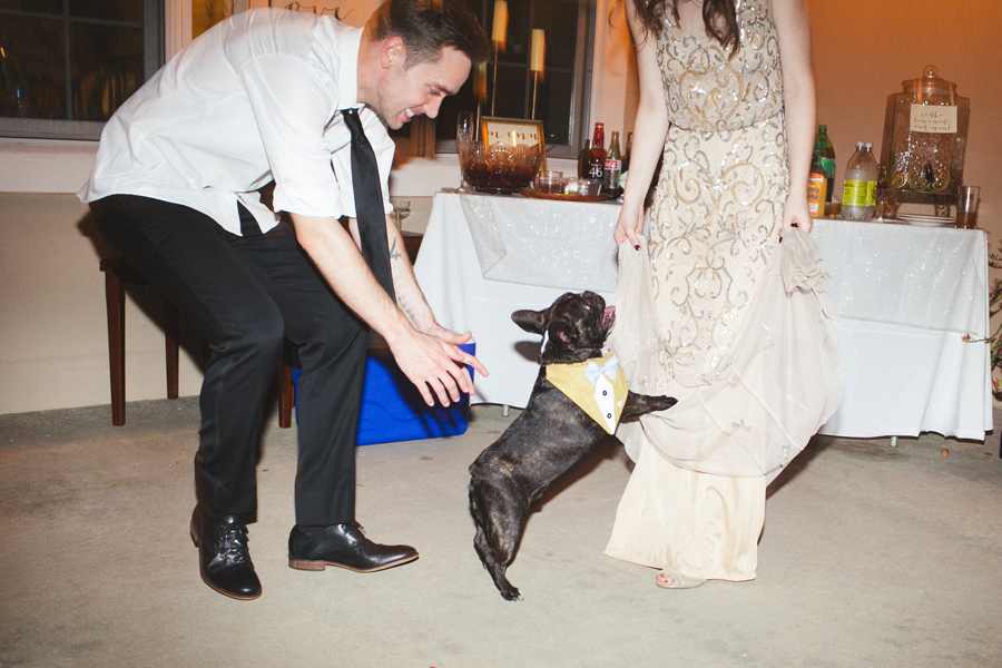 dances-with-dogs dances with dogs