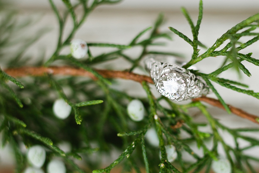 View More: http://morgantrinker.pass.us/lizandshelton