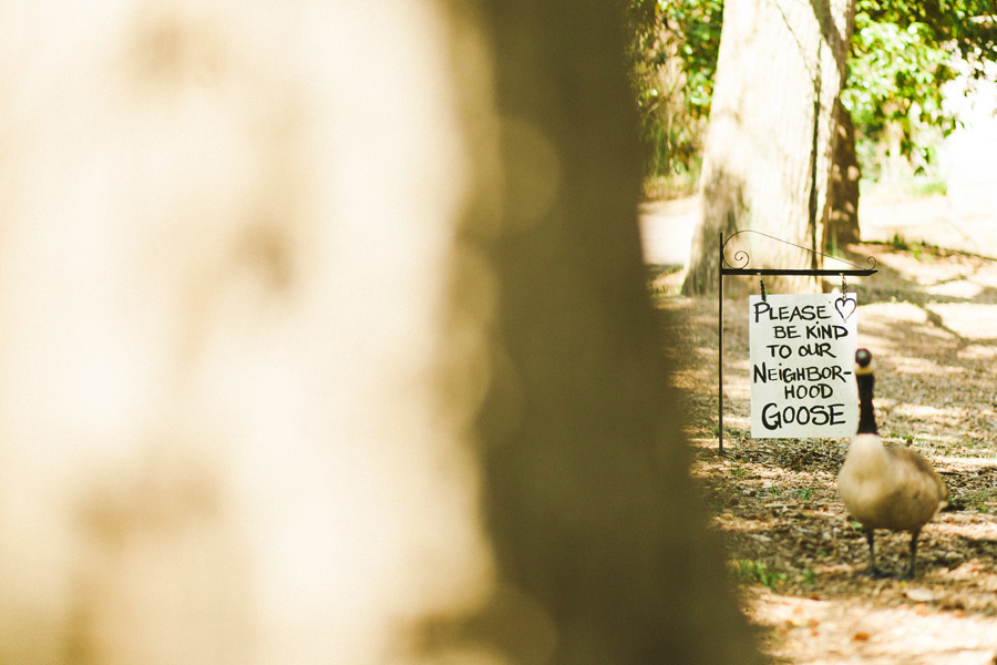 View More: http://morgantrinker.pass.us/sarahandethanwedding